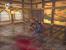 Ninja Gaiden Black