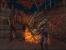 Ninja Gaiden Black