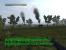 Operation Flashpoint Elite