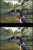 Peter Jackson's King Kong