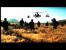 Eine der vielen Cutscenes