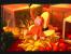 So sieht das Affen-Paradies aus