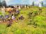 Age of Empires 3: The War Chiefs