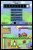 Mario vs. Donkey Kong 2: March of the Minis 