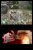 Tenchu: Dark Secret