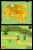 The Legend of Zelda: Phantom Hourglass