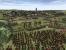 Medieval 2: Total War
