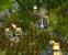 Anno 1701
