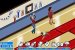 Die Sims 2: Haustiere