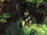 The Legend of Zelda: Twilight Princess 