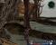 Silverfall