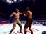 Boxsport Manager