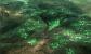 Command & Conquer 3 Tiberium Wars