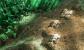Command & Conquer 3 Tiberium Wars