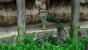 Harvest Moon: Innocent Life