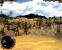 Ancient Wars: Sparta