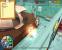 Hospital Tycoon