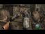 Resident Evil 4 Wii Edition (dt.)
