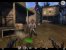 Call of Juarez
