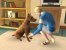 Die Sims 2: Haustiere
