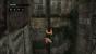 Tomb Raider Anniversary