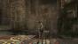 Tomb Raider Anniversary