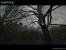 Scratches - Directors Cut