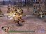 Warriors Orochi