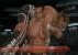 WWE SmackDown vs. Raw 2008