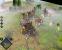Empire Earth 3