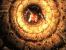 Clive Barker's Jericho (dt.)
