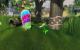 Viva Pinata