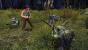 Die Geheimnisse der Spiderwicks