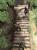 Ninja Gaiden Dragon Sword