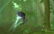 Aion