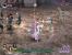 Warriors Orochi 2