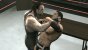 WWE SmackDown vs. Raw 2009