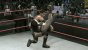 WWE SmackDown vs. Raw 2009
