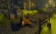 Sacred 2: Fallen Angel