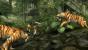 Tomb Raider Underworld