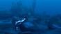 Tomb Raider: Underworld