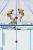 RTL Winter Sports 2009: The Next Challenge