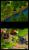 Dragon Ball Origins