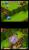 Dragon Ball Origins