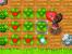 Rune Factory: A Fantasy Harvest Moon