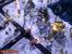 Command and Conquer: Alarmstufe Rot 3