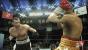 Don King Boxing