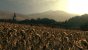 Call of Juarez: Bound in Blood