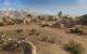 Men of War