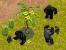 SimAnimals Afrika